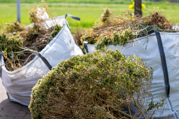 Best Shed Removal  in Prescott, AR